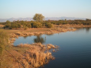 Kariba