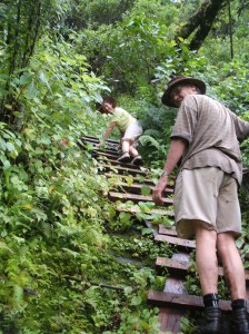 Mom and Dad in the forest