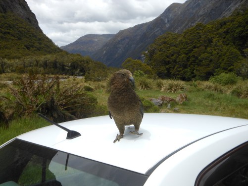 100. Milford Road.JPG